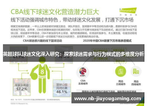 英超球队球迷文化深入研究：探索球迷需求与行为模式的多维度分析