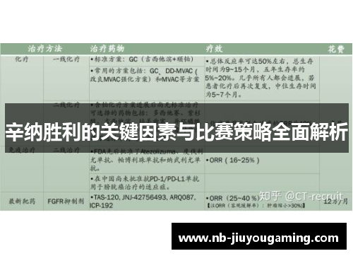 辛纳胜利的关键因素与比赛策略全面解析