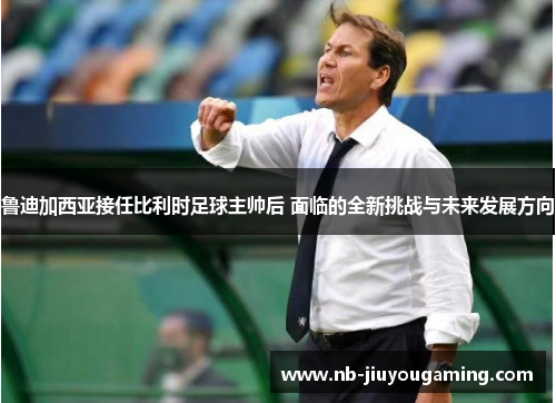 鲁迪加西亚接任比利时足球主帅后 面临的全新挑战与未来发展方向