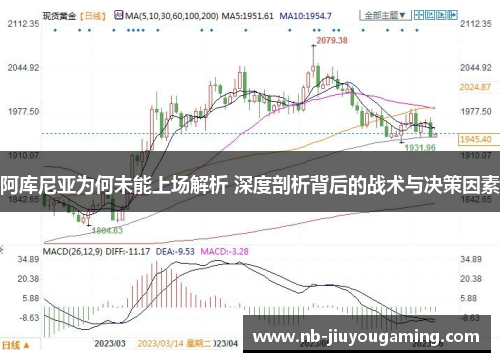 阿库尼亚为何未能上场解析 深度剖析背后的战术与决策因素