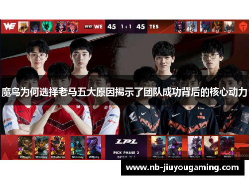 魔鸟为何选择老马五大原因揭示了团队成功背后的核心动力